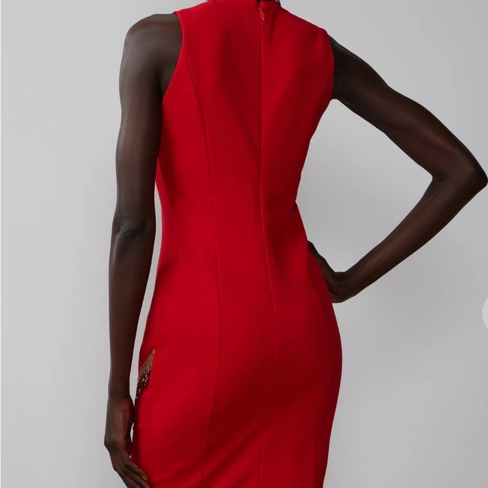 Sleeveless Sequin Trim Dress - Picture 4 of 5